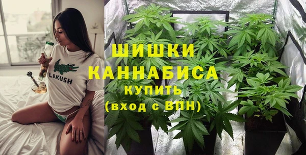 твердый Иннополис