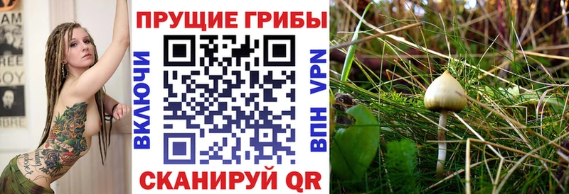 Галлюциногенные грибы ЛСД  цены   сайты даркнета какой сайт  Тара 